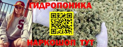 ALPHA PVP Дубна