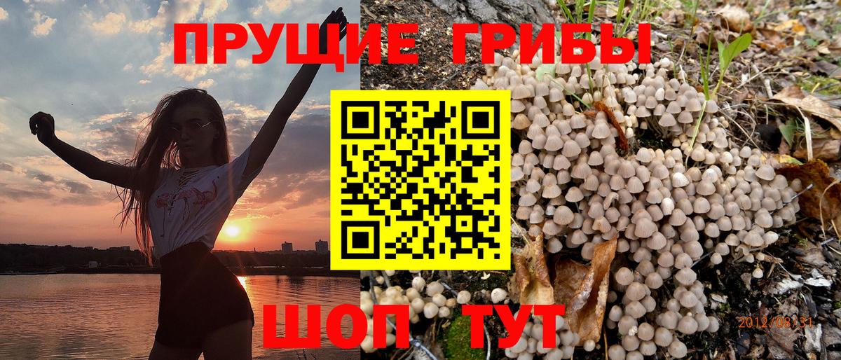 Галлюциногенные грибы мицелий Волжский
