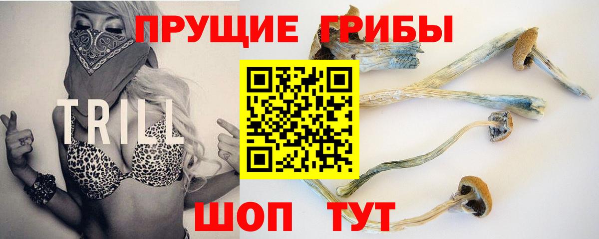 Псилоцибиновые грибы Psilocybe  Галлюциногенные грибы Magic Shrooms  Волжский  Вход с VPN 