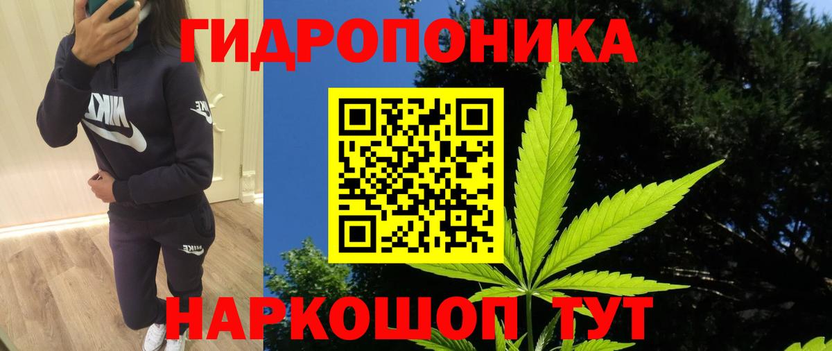 Шишки марихуана план Волжский